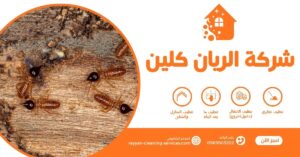 شركة مكافحة النمل الأبيض بالطائف شركه مكافحه النمل الابيض بالطائف