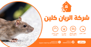 شركة مكافحة حشرات بالطائف 0569503202 - شركة الريان كلين شركة مكافحة الفئران بالطائف