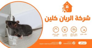 شركه مكافحه الفئران بالطائف شركه مكافحه الفئران بالطائف