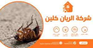 شركة مكافحة حشرات بالطائف 0569503202 - شركة الريان كلين شركة مكافحة الصراصير بالطائف