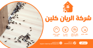شركة مكافحة حشرات بالطائف 0569503202 - شركة الريان كلين شركة مكافحة النمل الابيض بالطائف