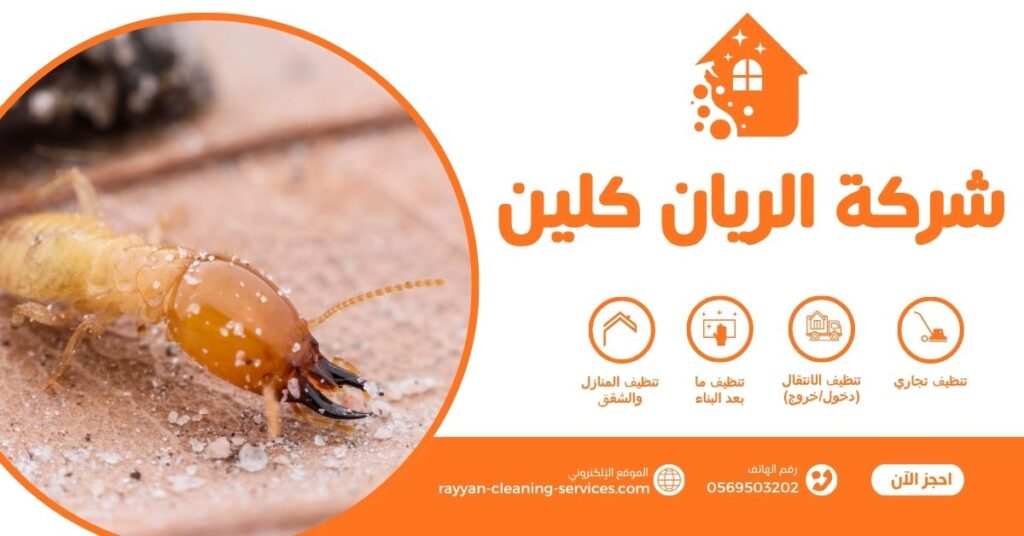 شركة مكافحة النمل الأبيض بالطائف 