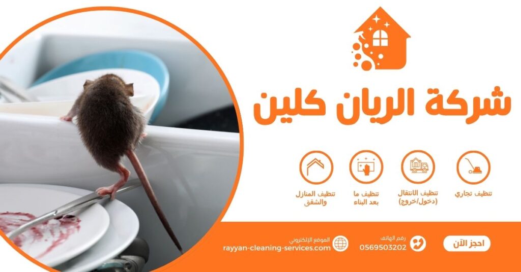 شركه مكافحه الفئران بالطائف